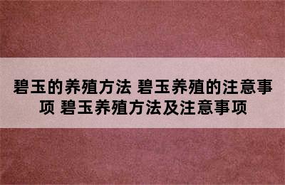 碧玉的养殖方法 碧玉养殖的注意事项 碧玉养殖方法及注意事项